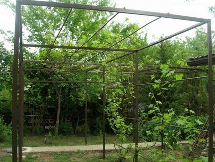 Baldachin pentru struguri în zona vilei cu propriile mâini (baldachin) Baldachin pentru struguri în zona vilei cu propriile mâini