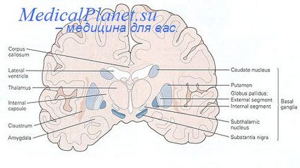 Nefroptoza rinichiului stang cum se trateaza