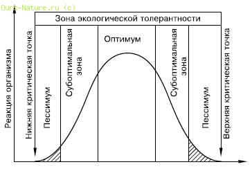 Ambiguitatea acțiunii factorului asupra diferitelor funcții