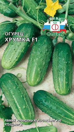 Pickle castravete (c) recenzii