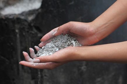 Őszi termékeny gyümölcsfák és bokrok ősszel