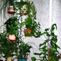 Iluminat pentru plante de interior