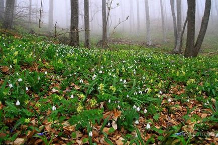 Restul în Crimeea în apa de primăvară și temperatura aerului, vremea, evenimente