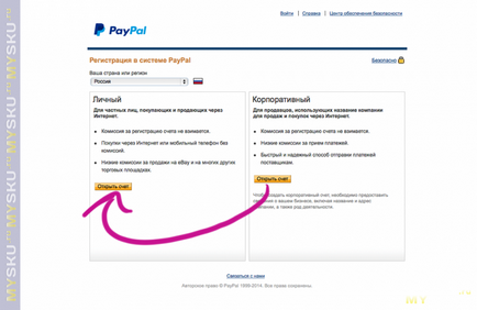 paypal fizetési rendszer