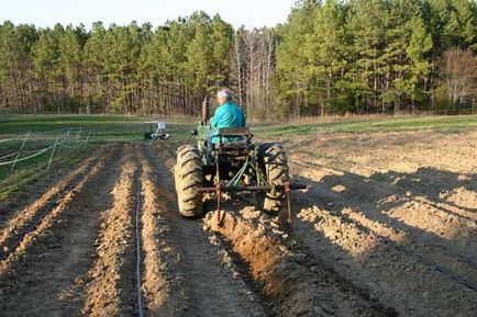 Solul pentru prepararea cartofilor, cultivarea terenurilor