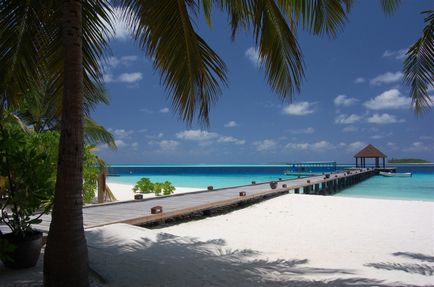 Ajándéktárgy Maldív-szigetek