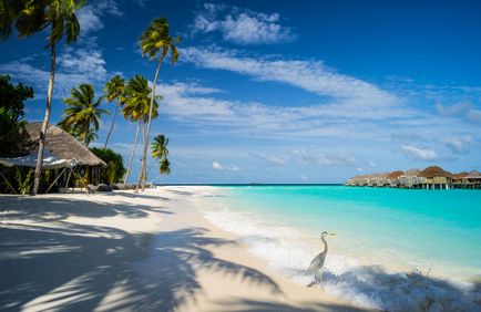 Cadouri și suveniruri din Maldive