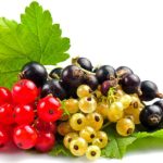 Proprietăți utile de prune, calorii, posibila vătămare a sănătății