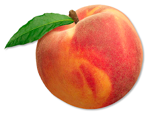 Користь і шкода персиків для здоров'я організму людини, калорійність