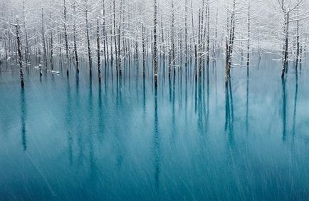 Приголомшливі знімки, в реальність яких важко повірити (26 фото)