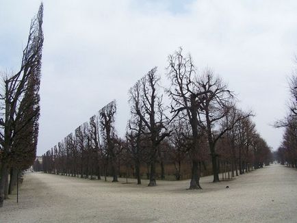 Imagini uimitoare care sunt greu de crezut în realitate (26 fotografii)