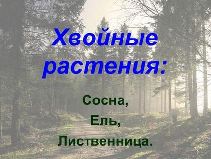 Презентація на тему робота 2 малювання дерев мета навчитися малювати дерева, використовуючи їх