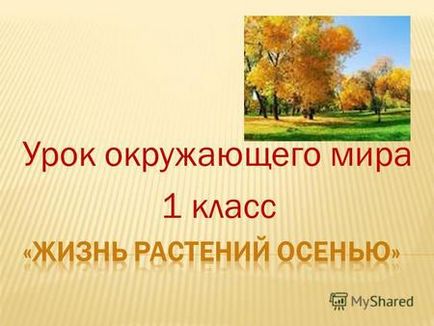 Презентація на тему робота 2 малювання дерев мета навчитися малювати дерева, використовуючи їх