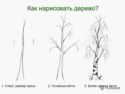 Prezentarea pe tema muncii 2 Desenarea copacilor Scopul este să înveți cum să atragă copacii folosind ei