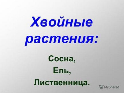 Презентація на тему робота 2 малювання дерев мета навчитися малювати дерева, використовуючи їх