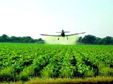 Principiul acțiunii și tipurile de insecticide împotriva dăunătorilor de grădină și livadă