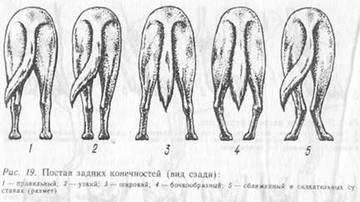 Размет, слабка пясть