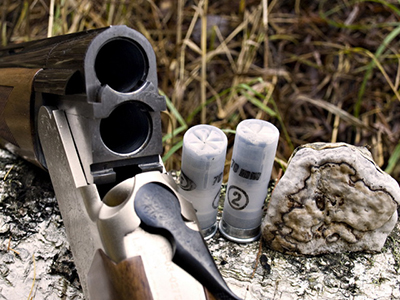 Permisiunea pentru arme de vânătoare - cum să se extindă și să primească