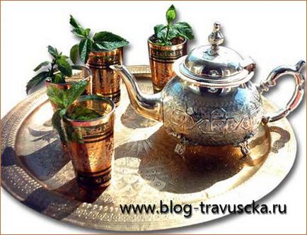 Рецепти приготування чаю для угамування спраги в домашніх умовах