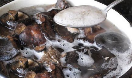 Рецепти засолювання груздів під гнітом як солити гриби на зиму різними способами