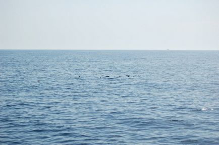 Horgászat egy jacht a földközi-tengeri
