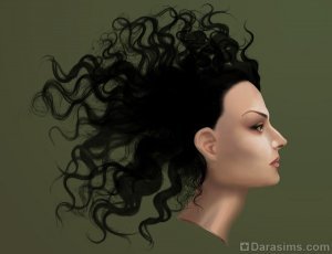 Trageți părul cu perii în Photoshop