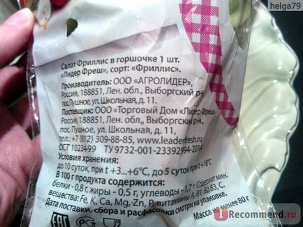 Saláta friss vezetője (ooo agrolider) frillis pot - „a legfinomabb tésztát meghatározza a terhesség (friss) Saláta friss vezetője (ooo agrolider) frillis pot - „a legfinomabb tésztát meghatározza a terhesség