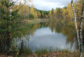 Санаторій «країнка» (тульська область), ціни на 2017 рік офіційний сайт