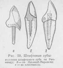 Coroană pin (dinți pin), stomatologie ortopedică