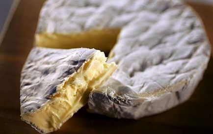 Сир з пліснявою - види сортів і їх назви
