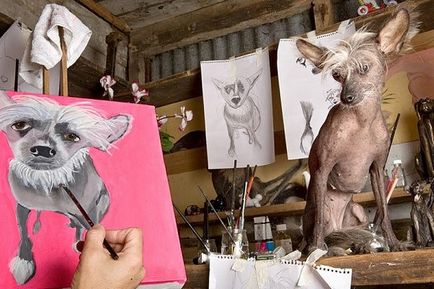 Смішні замальовки з життя китайського чубатого собачки чини