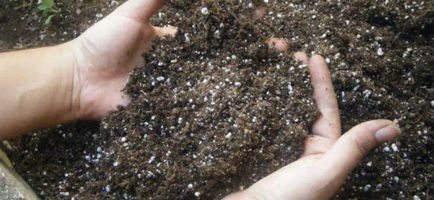 Sfaturi privind decontaminarea solului în seră, alegerea mijloacelor pentru spălarea serei, precum și o prezentare generală a îngrășămintelor