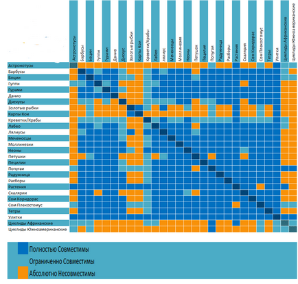 Сумісність акваріумних рибок з іншими рибками