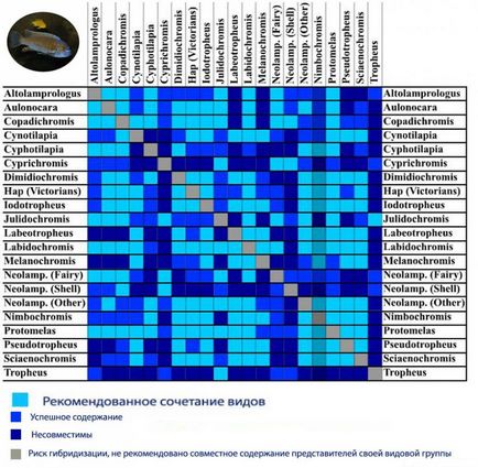 Compatibilitatea peștilor de acvariu cu alte pești