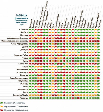 Сумісність акваріумних рибок з іншими рибками