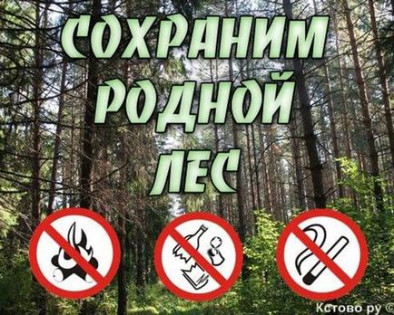 Megőrzi az őshonos erdők - emlékeztető a viselkedési szabályokat az erdőben - tűzvédelem -