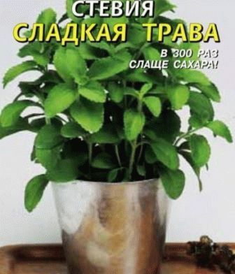 Стевія сорти, вирощування з насіння і живцями, користь для здоров'я, день дачника