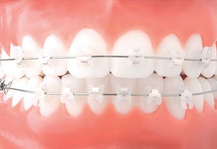 Стоматологія в приморському районі спб, гільдія стоматологів, якісно і недорого
