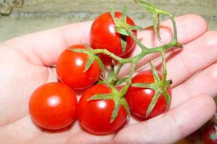 Tomato - afinele de zahăr, caracteristicile și descrierea soiului, randamentul, fotografie