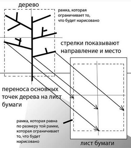 Вчимося малювати дерево - все найцікавіше!