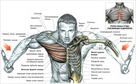 Exerciții pe biceps în sala de gimnastică, fotografie și crossover pentru mâini