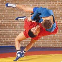 Lessons Sambo - online video (video oktatóanyagokat, hogy néz sport, online) Sambo leckék - video online