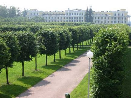 Arhangelsk Manor