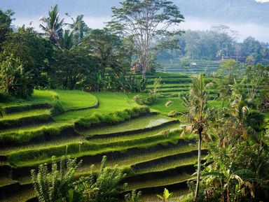 Care este atractivitatea insulei Lembongan