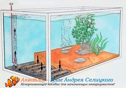 Típusú akvárium vizének szűrők - kézikönyv kezdőknek