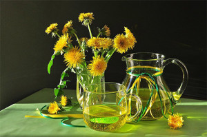 Dandelion Wine recept otthon winemaker