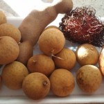 Вирощування лонган (тайський фрукт)
