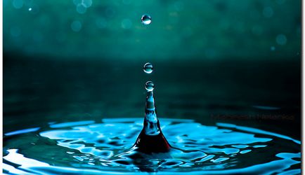 Всесвітній день води як зберегти наші річки і озера чистими екологія землі - babygreen, природний