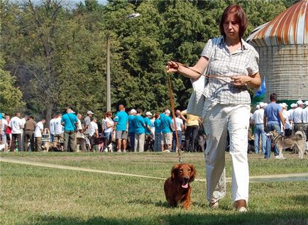 Всеукраїнська виставка мисливських собак, короткі історії довгою такси