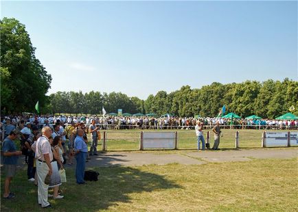 Всеукраїнська виставка мисливських собак, короткі історії довгою такси